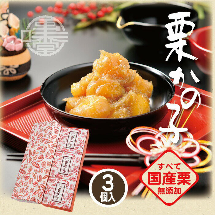 栗きんとん 【信州小布施 栗庵風味堂】栗かの子 3個入 260g×3 国産 銘菓 栗菓子 和菓子 お茶菓子 栗きんとん 栗鹿の子 栗かのこ マロン くり クリ おせち料理 お土産 小布施町 長野県 北信濃