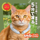 【2025夏対策!あす楽★送料無料】\648円数量限定/ペット用冷感リング 涼しさ 熱中症対策 猫犬対応 ひんやり クールリング 自然凍結 28℃ 抗菌 結露し...