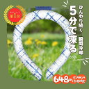 【648円数量限定!あす楽★送料無料】\高温・熱中症対策/ クールリング 安心安全の涼しさ 熱中症対策 ひんやり 自然凍結 28℃ 冷感リング 抗菌 結露しない...