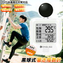 【事業者 & 法人向け】黒球式 熱中症指数計 WBGT測定器 JIS適合 温度 湿度 輻射熱 屋外 アラーム wbgt計 測定器 指数 計 黒球 携帯 アラート 表示 黒鉄型携帯熱中症計 温度計 熱中症指数 黒球 KO392 JIS 工場 現場 スポーツ 介護 学校 保育園 病院