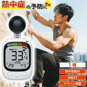 【事業者 & 法人向け】黒球式 熱中症指数計 WBGT測定器 温度 湿度 輻射熱 屋外 アラーム wbgt計 測定器 指数 計 黒球 携帯 アラート 表示 黒鉄型携帯熱中症計 温度計 熱中症指数 黒球 HDL-1717 工場 現場 スポーツ 介護 学校 保育園 病院