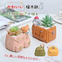 鉢植え 花 小型 鉢 植木鉢 かわいい 多肉植物 寄せ植え 樹脂製 フラワーポット ガーデンポット サボテン プランター 箱庭 ガーデン 誕生日 贈り物 インテ...