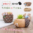 鉢 植木鉢 栗鼠 おしゃれ かわいい 多肉植物 寄せ植え 樹脂製 鉢植え 花 フラワーポット ガーデンポット サボテン プランター 箱庭 ガーデン 誕生日 贈り物