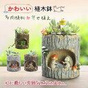 鉢 植木鉢 樹脂 かわいい 小型 鉢植え 花 多肉植物 寄せ植え フラワーポット ガーデンポット サボテン プランター 箱庭 ガーデン 誕生日 贈り物 ギフト ...