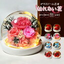 プリザーブドフラワー ガラスドーム 本物の花 カーネーション フラワー おしゃれ LED 枯れない花 プレゼント ホワイトデー 母の日 敬老の日 記念日 お見舞...