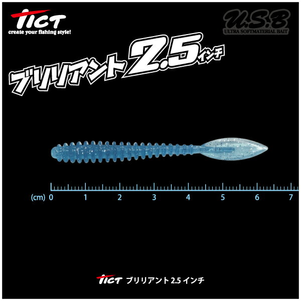 【ルアー】TICT　ティクトブリリアント 2.5インチU.S.Bワーム