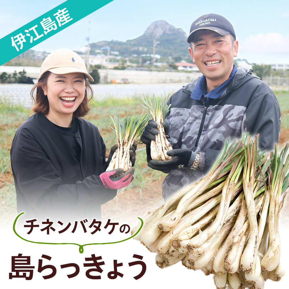 沖縄県伊江島産 チネンバタケの島らっきょう 生（土付き） 島尻マージ 伊江村農家組合 畑（パル）シン..
