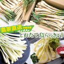 沖縄県産 島らっきょう 生(土付き)
