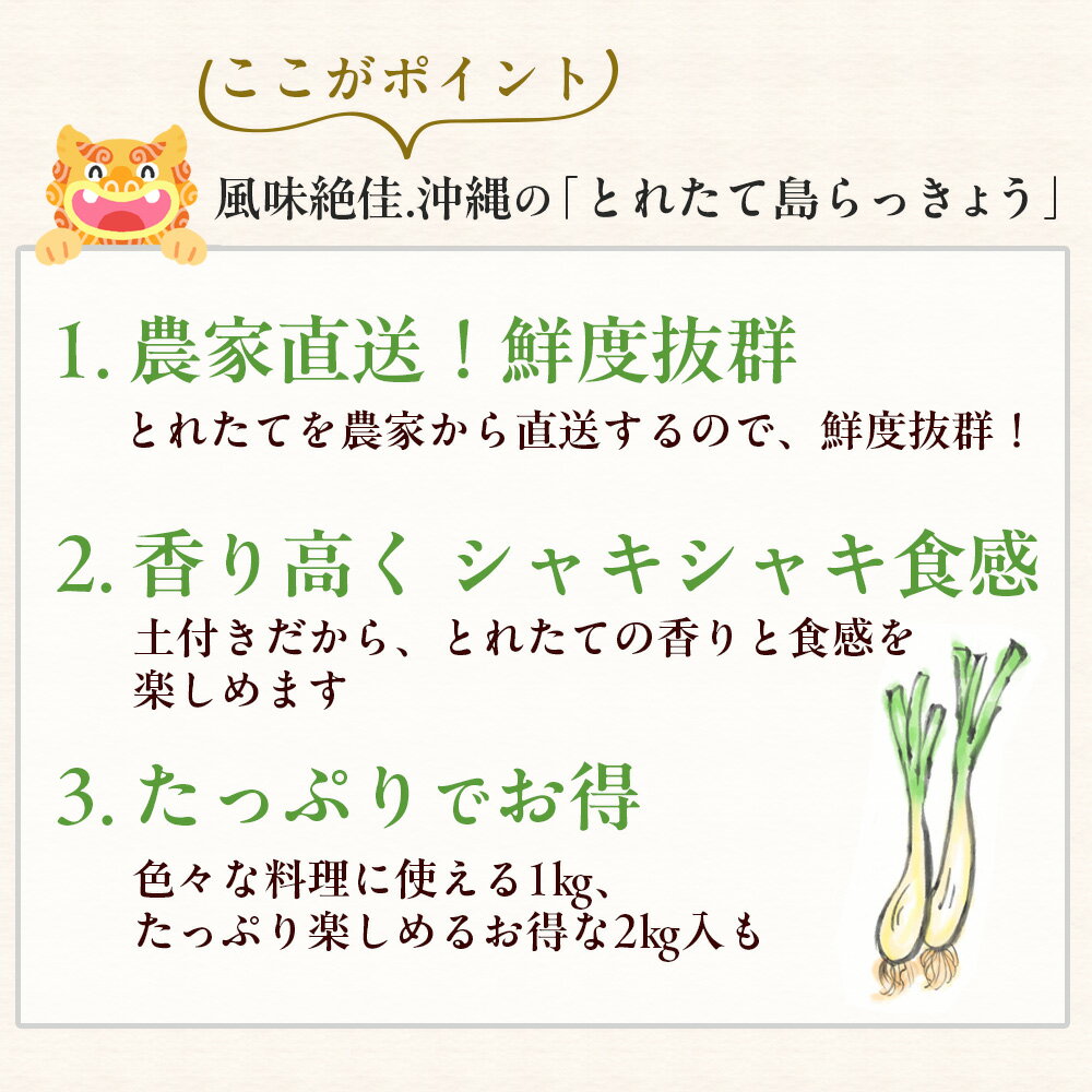 ���츩�� ���ä��礦 �������դ��� ����̵��