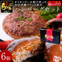 母の日 もとぶ牧場 もとぶ牛 ハンバーグセット(120g×6パック入) オリオンビール粕 黒毛和牛100%使用 合成化学保存料不使用 沖縄県産 ブランド牛 ギフ...