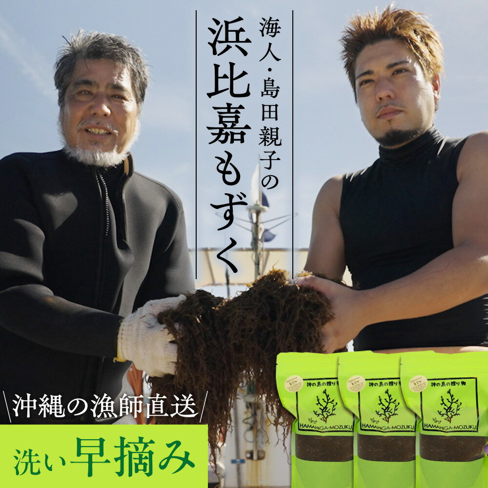 父の日 沖縄県浜比嘉島から直送 海人・島田親子の浜比嘉もずく(早摘み)450g×3パック入り~ 洗いもずく 生もずく 塩抜き不要 洗わずそのまま使える 無添加 お取り寄せ 冷凍保存可 送料無料