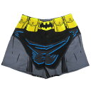 バットマン ボクサートランクス パンツ 下着 DCコミックス BATMAN アメコミ
