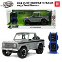 ミニカー アメ車 1/24 ピックアップトラック フォード ブロンコ ダイキャストカー jadatoys JUST TRUCKS w/RACK & WHEELS 1973 FORD BRONCO ダイキャスト 車 旧車 アメトイ おもちゃ 送料無料 アメリカン雑貨 アメリカ雑貨 通販 JADA TOYS 正規品 父の日 ギフト 送料無料