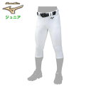 ミズノ ジュニア グローバルエリート ストレッチパンツ ショートフィットタイプ (野球 ソフトボール パンツ ショートフィット 練習 トレーニング 男の子 女の子 mizuno) 12JD0F85