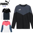 プーマ プーマ メンズ Tシャツ (長袖 運動 スポーツウェア トレーニングウェア サッカー ランニング ジョギング ジム puma あす楽) 658827