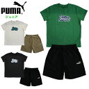 プーマ ジュニア 上下セット (キッズ 半袖 Tシャツ ハーフパンツ セットアップ サッカー フットサル スポーツウェア トレーニングウェア 男の子 ボーイズ ...