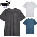 プーマ メンズ Tシャツ (半袖 シャツ トレーニングウェア ランニング 運動 スポーツ 即日発送 puma) 523697
