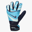 ナイキ ジュニア キーパーグローブ (子供用 キーパー手袋 グローブ サッカー フットサル NIKE 即日発送) FJ4864-420