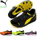 プーマ ジュニア ランニングシューズ (軽量 運動靴 小学生 キッズ 子ども トレーニング スポーツ 即日発送 PUMA) 190266