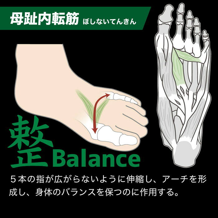 ファンスポーツのアクティバイタル PROファイブ ソックス S-Mサイズ(22.5-25.5cm) (フットサポータープロ メンズ レディース 靴下 足袋 サッカー フットサル バスケ バレー 陸上 テニス 卓球 ゴルフ オールスポーツ ACTIVITAL PRO) HRD1065｜アングル3