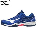 【あす楽対応】ミズノ(mizuno)バトミントンシューズ ウエーブクロー SPECIAL EDITION(メンズ レディース シューズ 靴 バドミントン 屋内 体育館シューズ インドア 部活)71GA1915