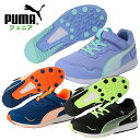 プーマ ジュニア スニーカー (シューズ 靴 小学生 マジックテープ カジュアル 普段履き ランニング トレーニング ローカット puma あす楽) 378908