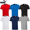 プーマ(puma)メンズ Tシャツ(半袖 シャツ トップス サッカー フットサル 運動 スポーツウェア トレーニングウェア)656986