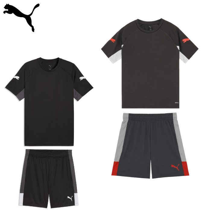 �ޥ饽����ꥯ���ݥ����Ź�Ϥ����P2�ܡ��� �����ѡ��������3/4 20����4���ָ��ꥯ���ݥ�� �ס��� INDIVILIGA Ⱦµ�����+���硼�� �岼����...