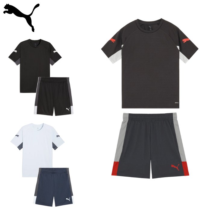 Rakuten - プーマ INDIVILIGA 半袖シャツ+ショーツ 上下セット (メンズ サッカー フットサル ハーフパンツ 運動 スポーツ トレーニングウェア セットアップ PUMA 即日発送) 660962-660976