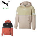 プーマ(puma) PUMA POWER カラーブロック フーディスウェット FL ●素材 ・本体/裏起毛(コットン68%・ポリエステル(リサイクル)32%) ・袖口・裾/(コットン96%・ポリウレタン4%) ●カラー ・35:SALMON ・67:LIGHT SAND ●サイズ ・140/150/160 お家でのリラックス時やお出かけ着としても着用可能! 大胆な切り替えが特徴のPUMA POWERコレクションのカラーブロックフーディスウェット。 ・肌触りが柔らかいコットンポリエステルの裏毛素材を使用 ・リサイクル素材を使用しているため、環境に配慮したアイテム ・両袖にPUMAワードマーク ・胸元にキャットロゴ ・リラックスフィット ※商品の画像はできる限り実物に近づけるよう配慮しております。 お使いのモニターやご覧になる環境によりまして、 色目が若干異なる場合がございますので、ご了承くださいませ。 ※メーカー希望小売価格はメーカーサイトに基づいて掲載しています。プーマ(puma) PUMA POWER カラーブロック フーディスウェット FL