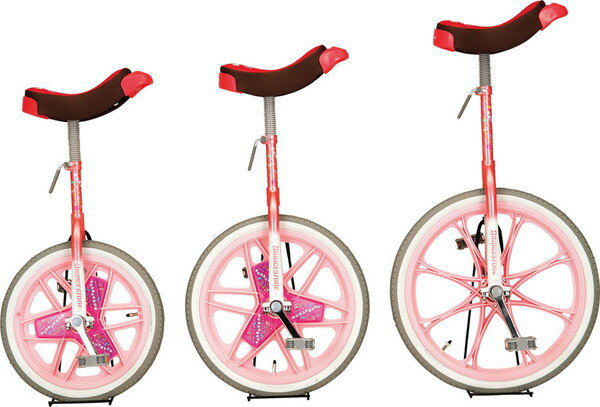 エバニュー 一輪車(エアタイヤ)16インチ (小学校 小学生 備品 寄贈品 学校体育機器...