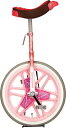 エバニュー 一輪車(エアタイヤ)18インチ (小学校 小学生 備品 寄贈品 学校体育機器 EVERNEW) EKD343