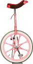 エバニュー 一輪車(エアタイヤ)20インチ (小学校 小学生 備品 寄贈品 学校体育機器 EVERNEW) EKD344