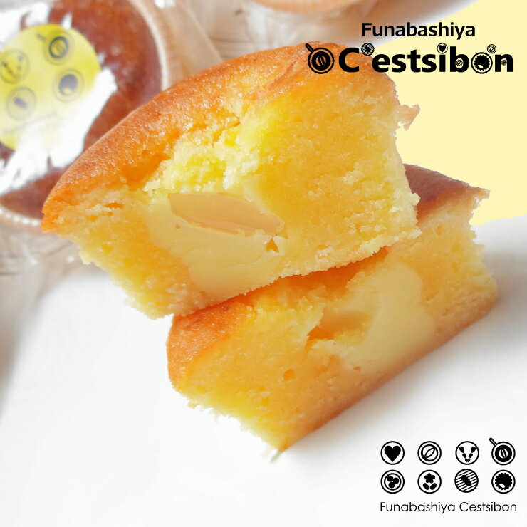 セシボン-C'estsibon-チーズカップケーキ 生菓子 チーズケーキ カップケーキ お菓子 洋菓子 業務用 景品 船橋屋 瀬止凡 常温or冷蔵