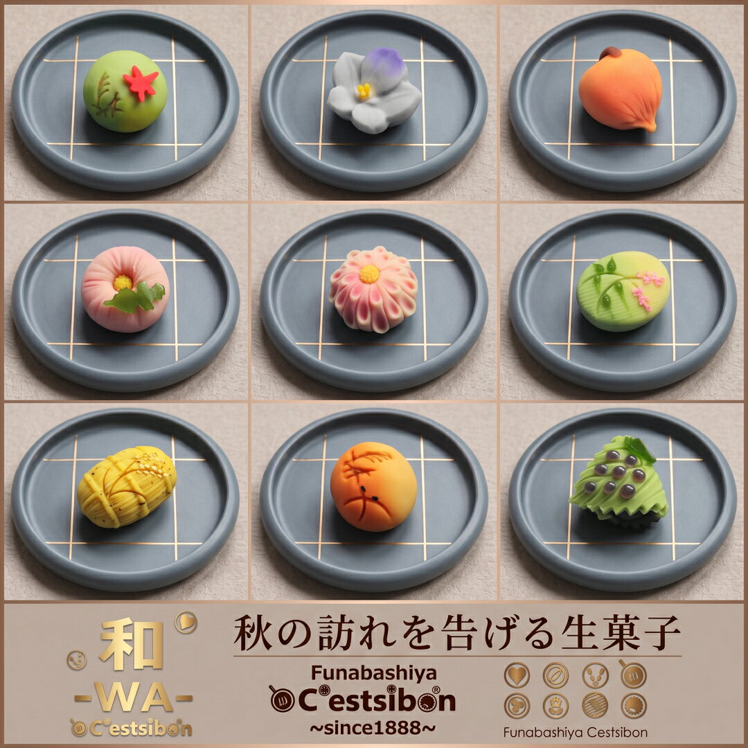 セシボン-C'estsibon-和-WA-「彩」上生菓子10個入 秋ギフト ハロウィン 七五三 いい夫婦の日 お歳暮 お年賀 ご挨拶 食べ物 お返し 生菓子 和菓子 練り切り お菓子 お祝い 内祝い プレゼント ギフト グルメ 秋 誕生日 お取り寄せ 詰め合わせ 送料無料 あす楽対応 最強翌日配送 funabashi-ya-10000000 セシボン-C’estsibon- サンプル画像3