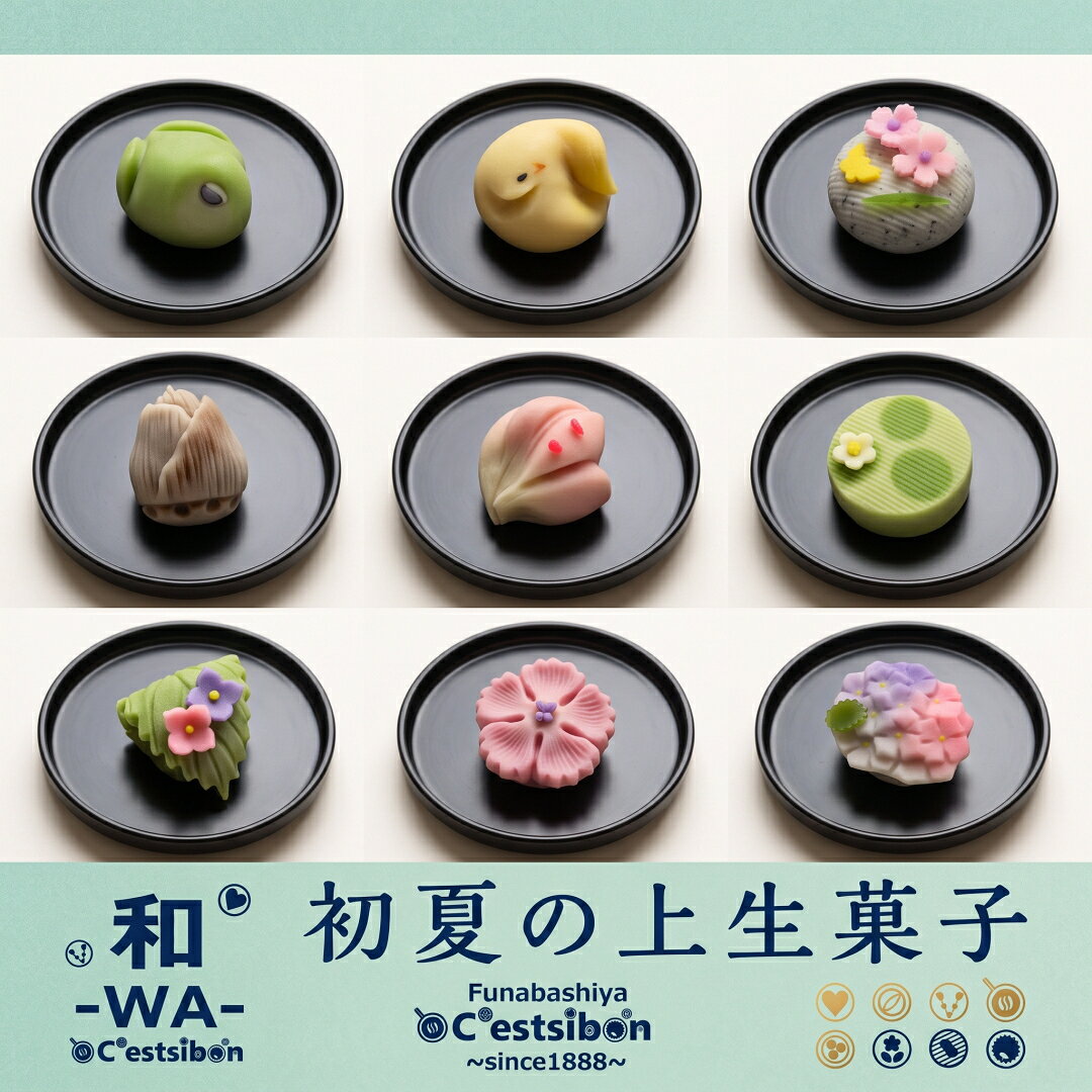 セシボン-C'estsibon-和-WA-「彩」上生菓子10個入 夏ギフト お中元 夏ギフ お盆 帰省 お土産 お供物 お供え 敬老の日 ご挨拶 食べ物 お返し 生菓子 和菓子 練り切り お菓子 お祝い 内祝い プレゼント ギフト 誕生日 お取り寄せ 詰め合わせ 送料無料 あす楽対応 最強翌日配送 funabashi-ya-10000000 セシボン-C’estsibon- サンプル画像3