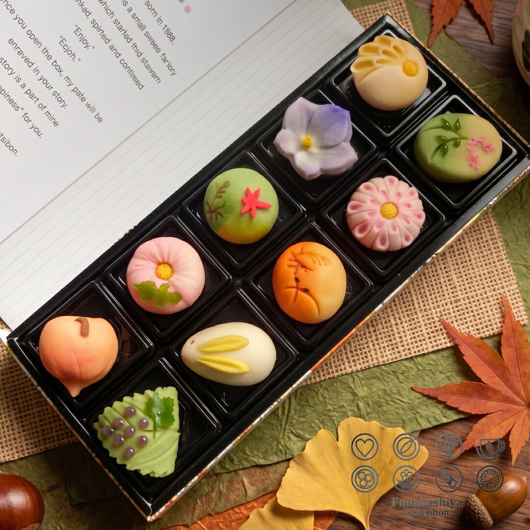 セシボン-C'estsibon-和-WA-「彩」上生菓子10個入 秋ギフト 敬老の日 お彼岸 お供え お供物 いい夫婦の日 ご挨拶 食べ物 お返し 生菓子 和菓子 練り切り お菓子 お祝い 内祝い プレゼント ギフト グルメ 秋 誕生日 お取り寄せ 詰め合わせ 送料無料 あす楽対応 最強翌日配送
