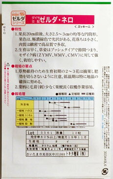【トキタ種苗】ゼルタ・ネロ ズッキーニ 10粒