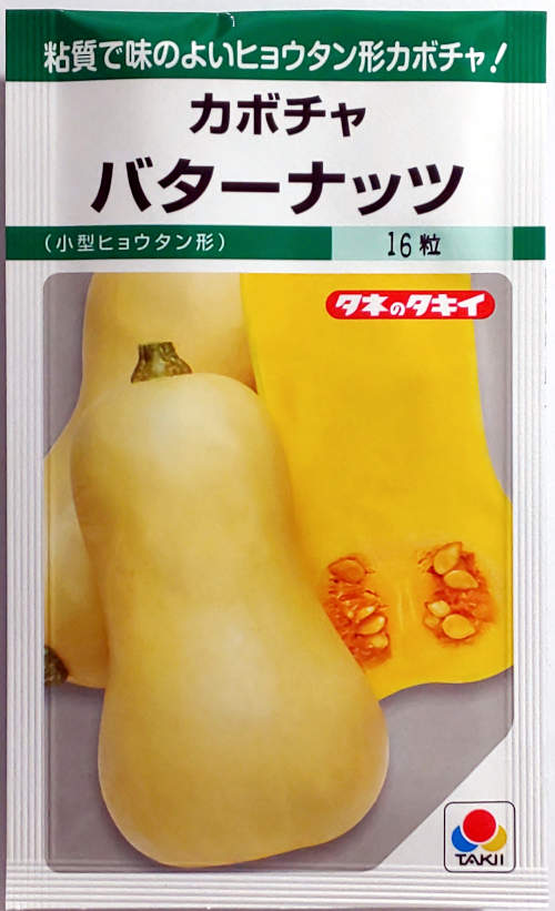 【タキイ種苗】バターナッツ カボチャ　16粒