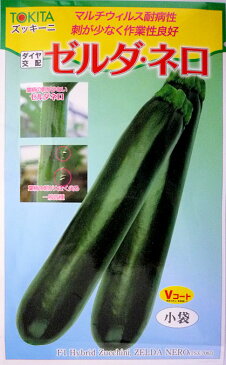 【トキタ種苗】ゼルタ・ネロ ズッキーニ 10粒