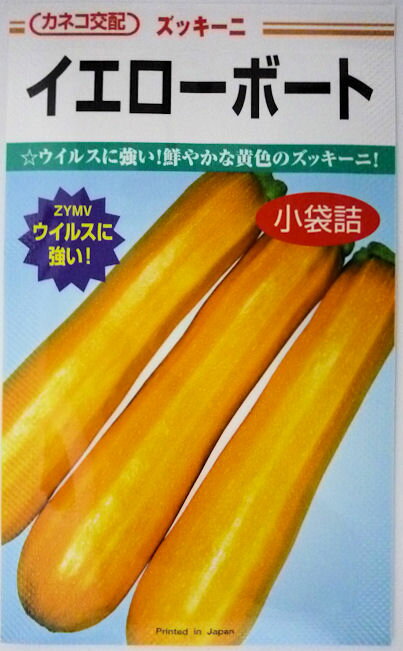【カネコ種苗】イエローボート　ズッキーニ　10粒