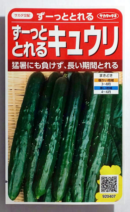 【サカタのタネ】ずーっととれるキュウリ　小袋（16粒