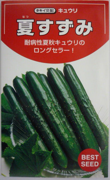 【タキイ種苗】夏すずみキュウリ　100粒のサムネイル