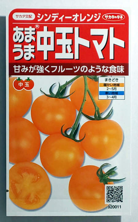 【サカタのタネ】シンディーオレンジ　中玉トマト　小袋（13粒）