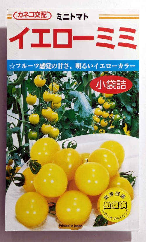 【カネコ種苗】イエローミミ　ミニトマト　11粒のサムネイル
