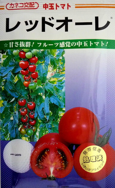 【カネコ種苗】レッドオーレ中玉トマト　100粒