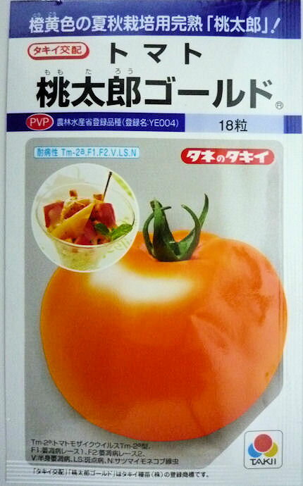 【タキイ種苗】桃太郎ゴールドトマト　16粒農林水産省登録品種（品種名：YE004）のサムネイル