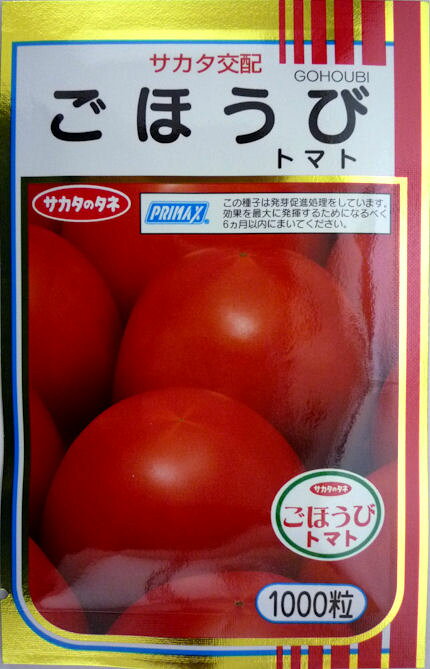【サカタのタネ】ごほうびトマト　1000粒