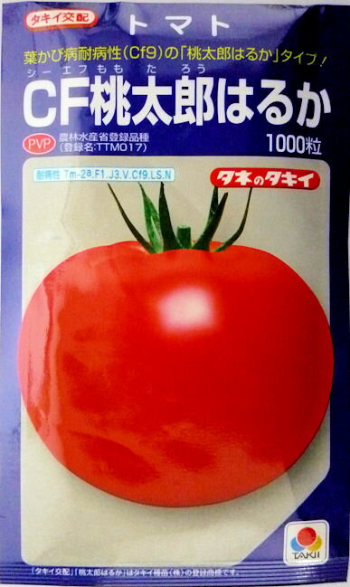 【タキイ種苗】CF桃太郎はるかトマト 1000粒農林水産省登録品種 品種名：TTM017 