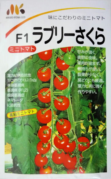 ふさみどり 1L 枝豆 えだまめ エダマメ 【中原採種場 種 たね タネ 】【通常5倍 5のつく日はポイント10倍】